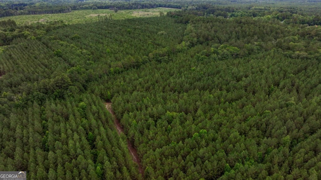 0 Highway 204 & Carlos Cowart Road Pembroke, GA 31321 - Photo 21 of 47