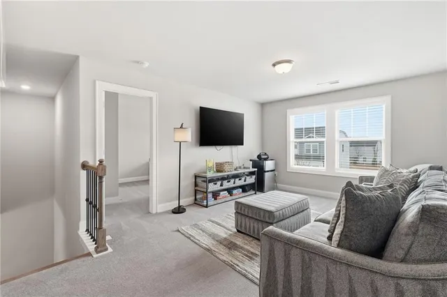a living room with furniture and a rug