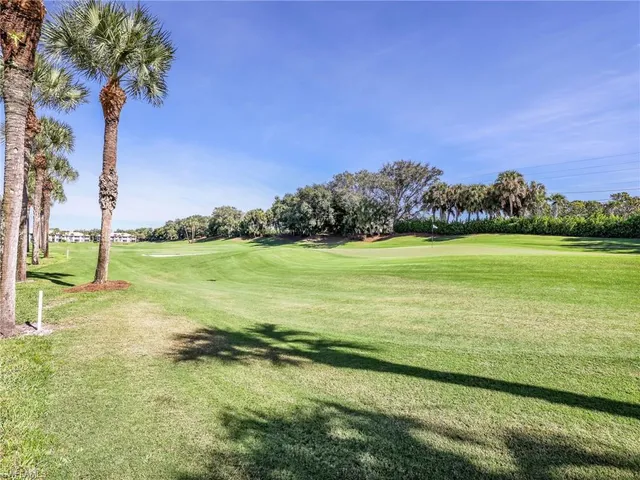 a view of a field with an ocean