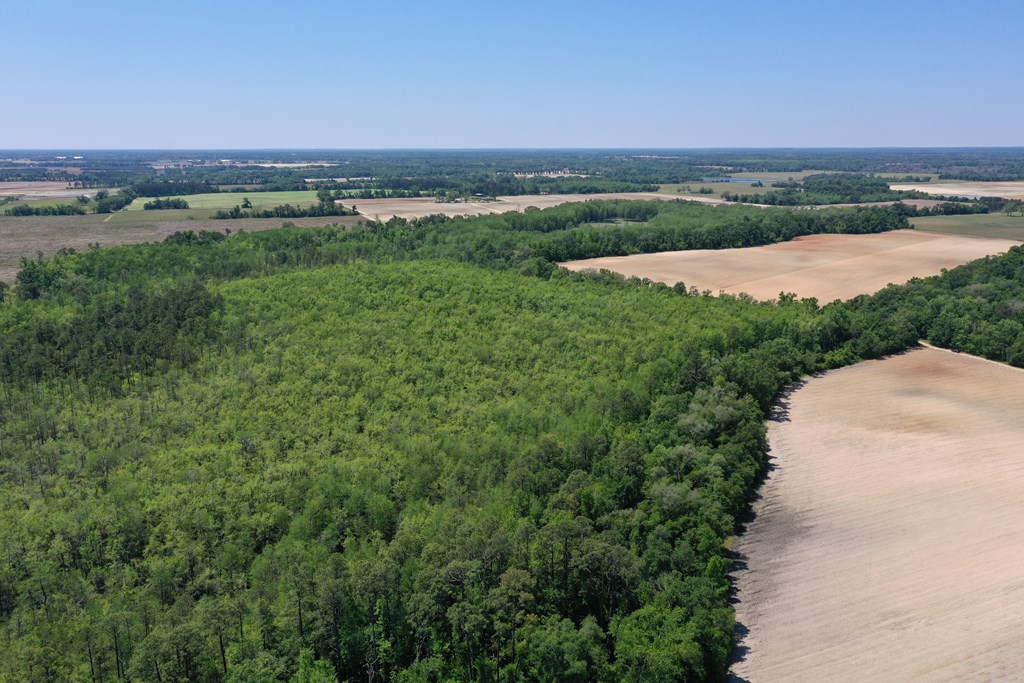 210-ac Jernigan Road Gordon, AL 36343 - Photo 28 of 36