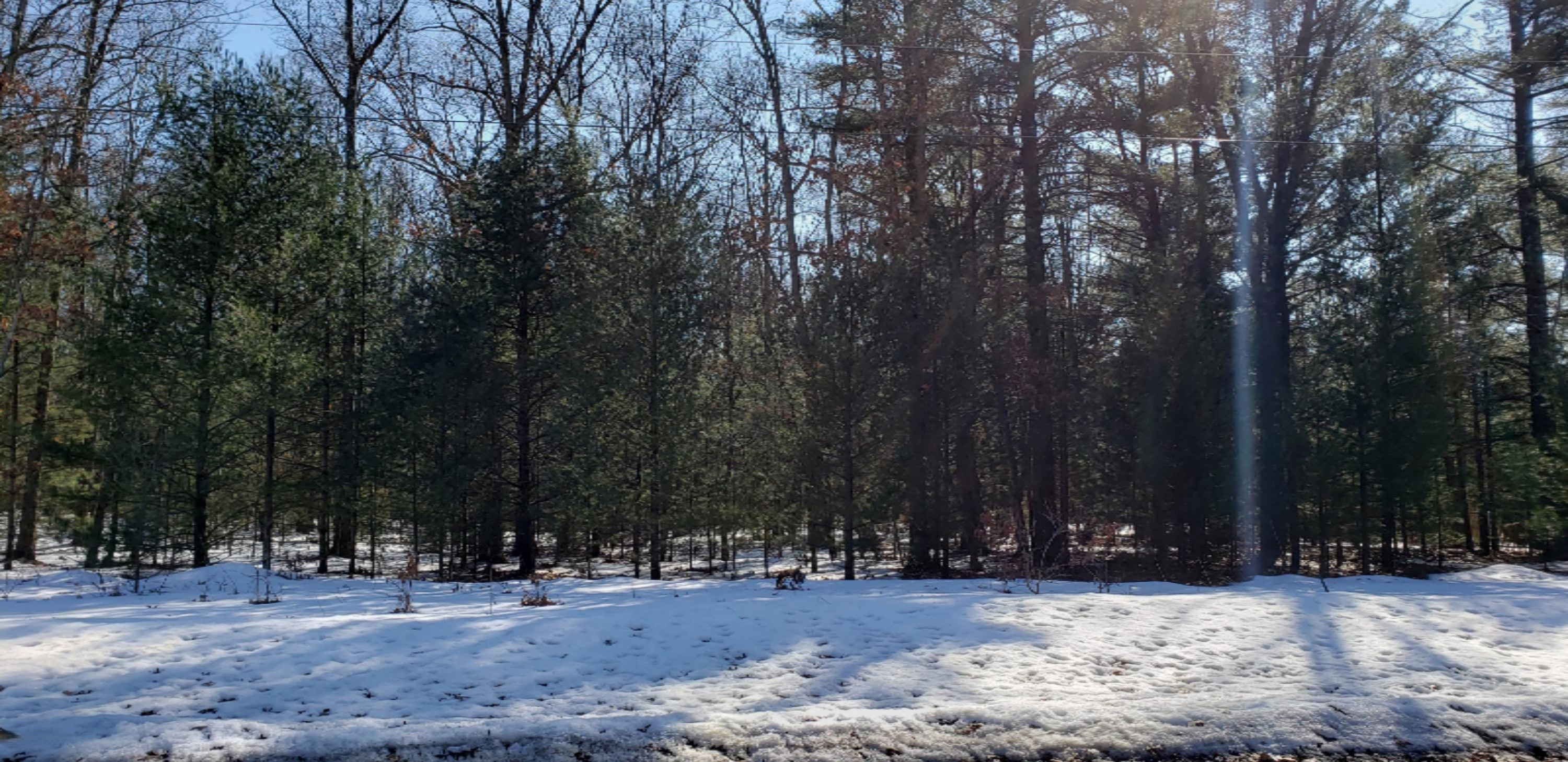 0 Crystal Lake Road Whitehall, MI 49461 - Photo 18 of 21 20200304_144749