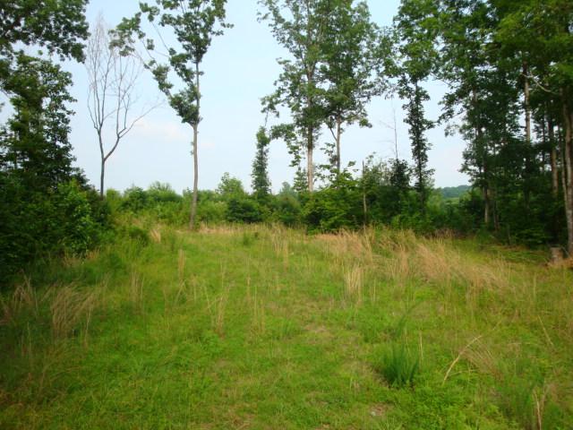 3 Salem Minor Hill Road Lester, AL 35647 - Photo 1 of 2