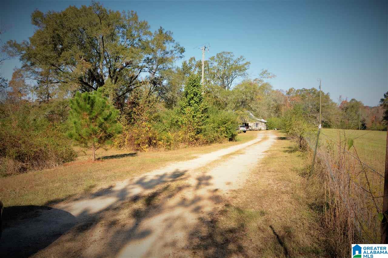 5685 Wolf Creek Road Pell City, AL 35128 - Photo 50 of 50