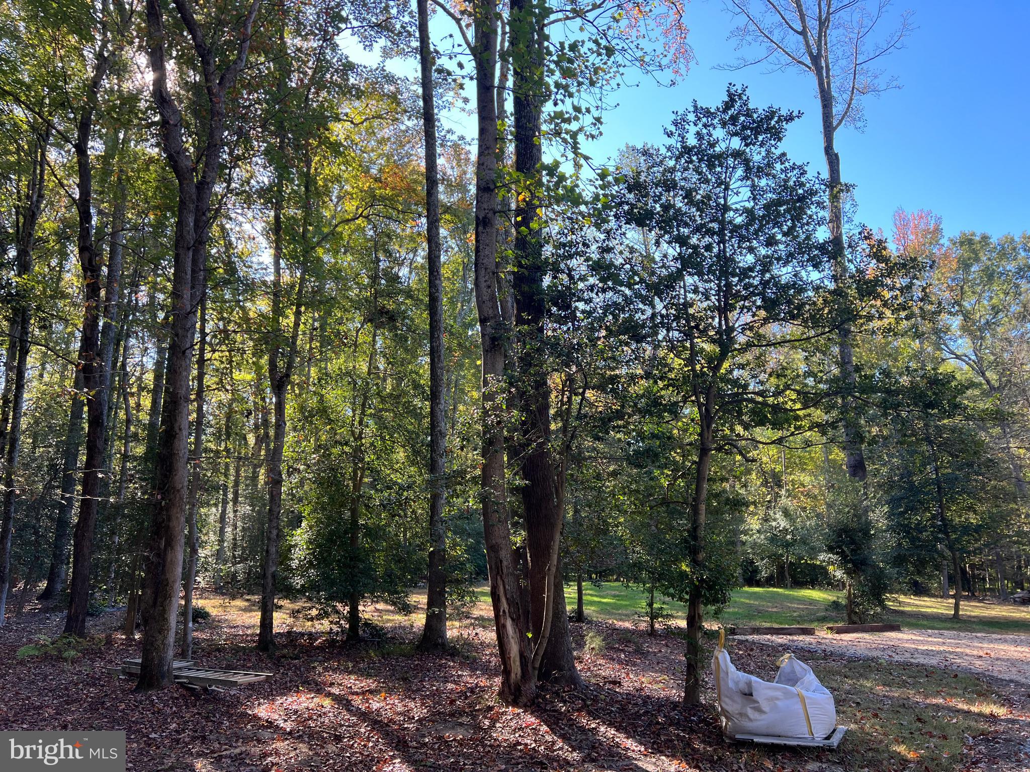48 Waller Point Drive Stafford, VA 22554 - Photo 41 of 43 a view of a park that has large trees