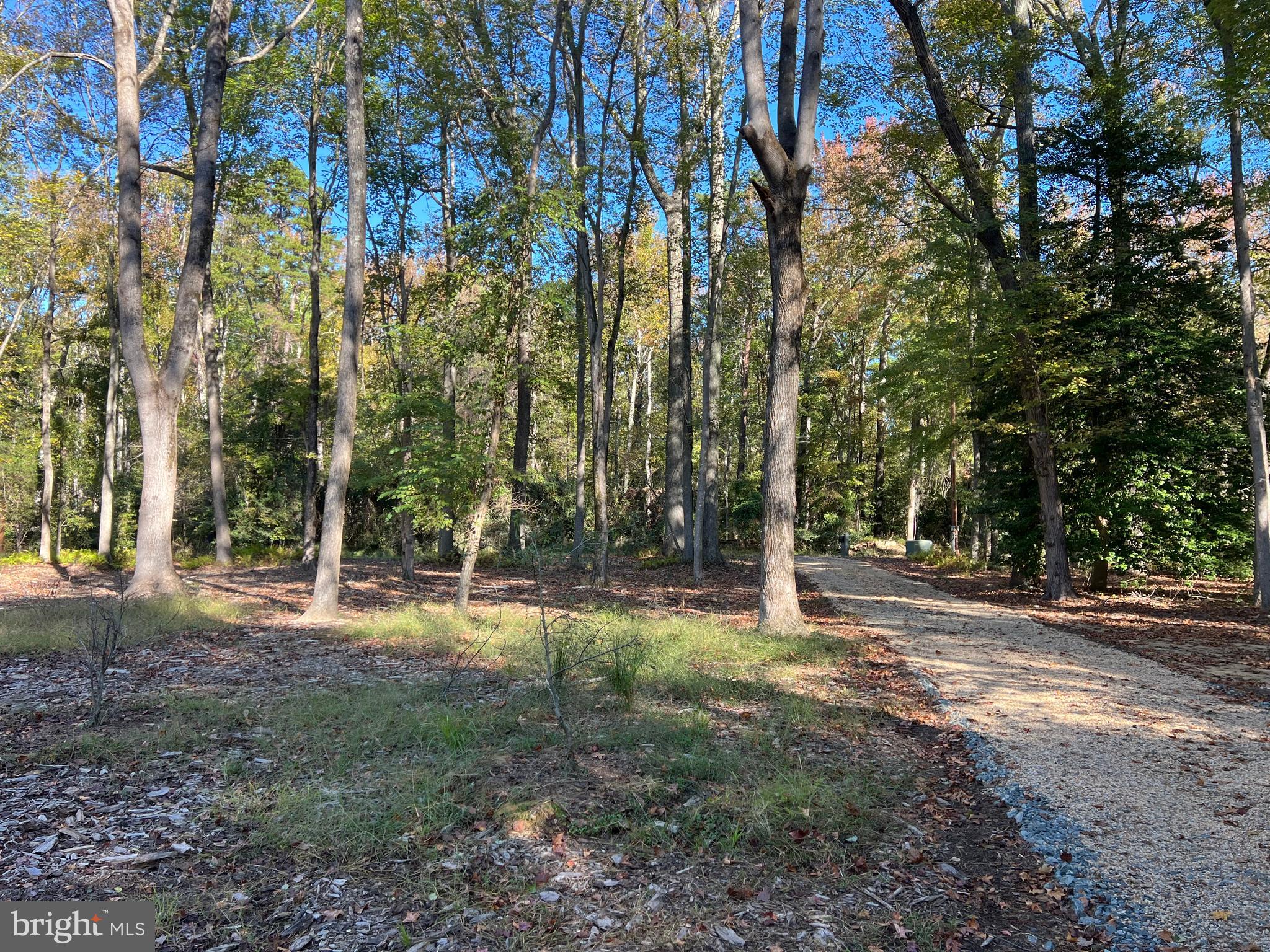 48 Waller Point Drive Stafford, VA 22554 - Photo 42 of 43 a backyard of a house with lots of green space