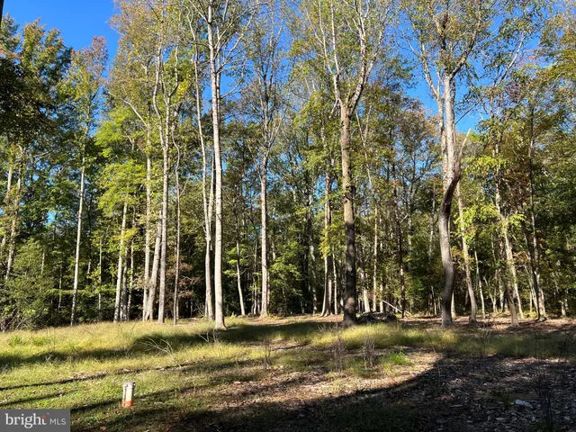 a view of a park with a building and trees