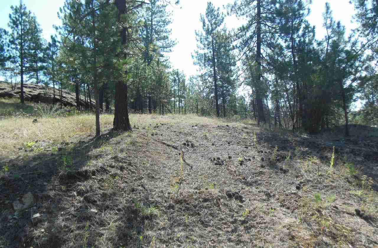 33206 North Hardesty Road Chattaroy, WA 99003 - Photo 8 of 9