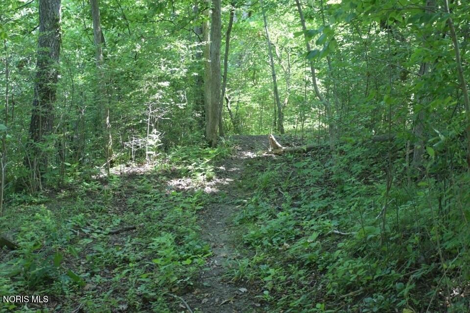 0 West River Road Grand Rapids, OH 43522 - Photo 19 of 22 Gallery Image 19