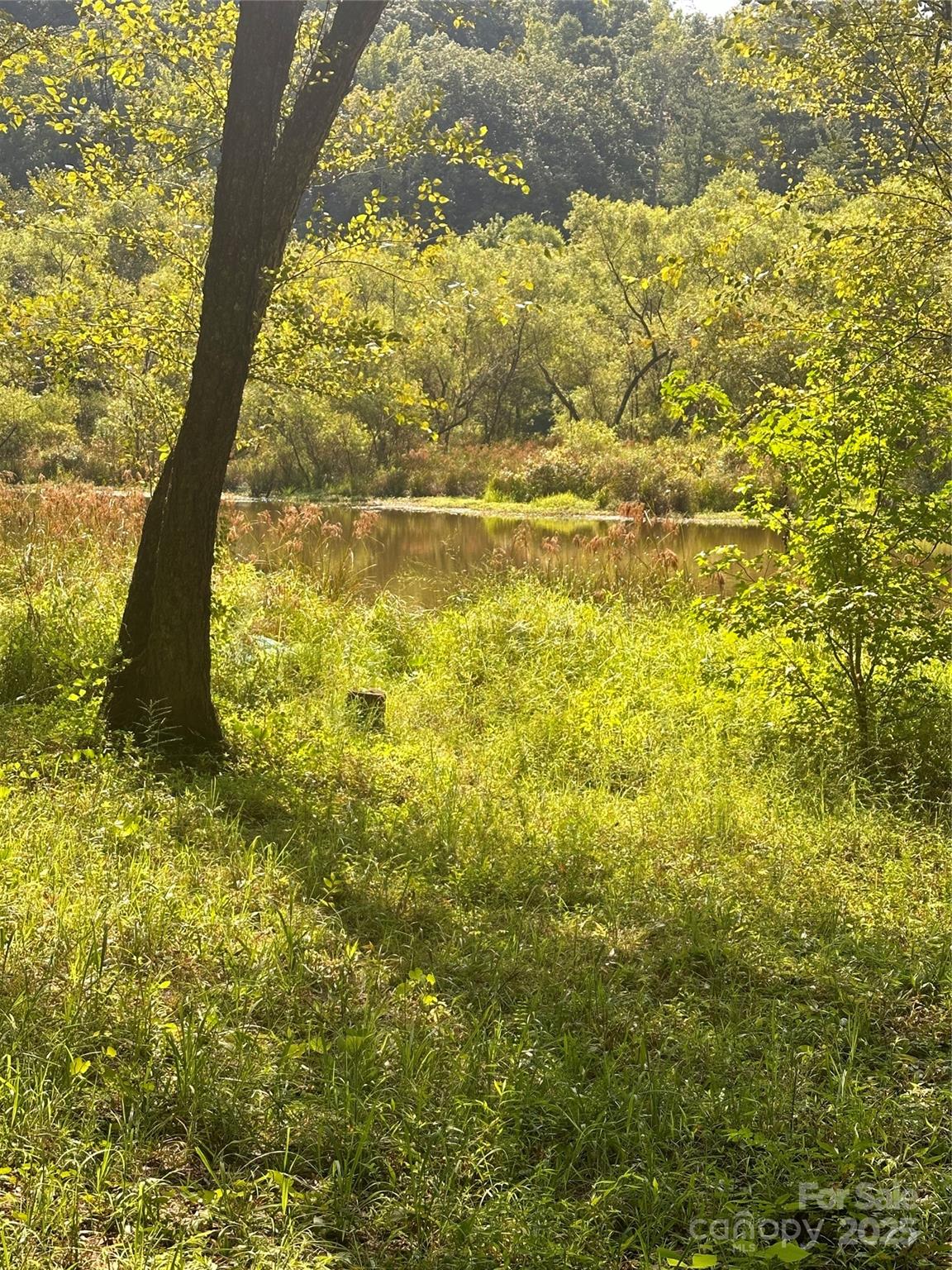 3107 Yancey Road Marion, NC 28752 - Photo 33 of 35 Gallery Image 33