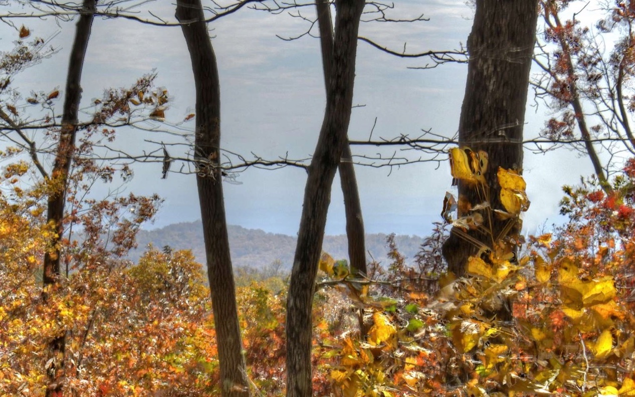 Lt273 Falling Waters Pkwy  