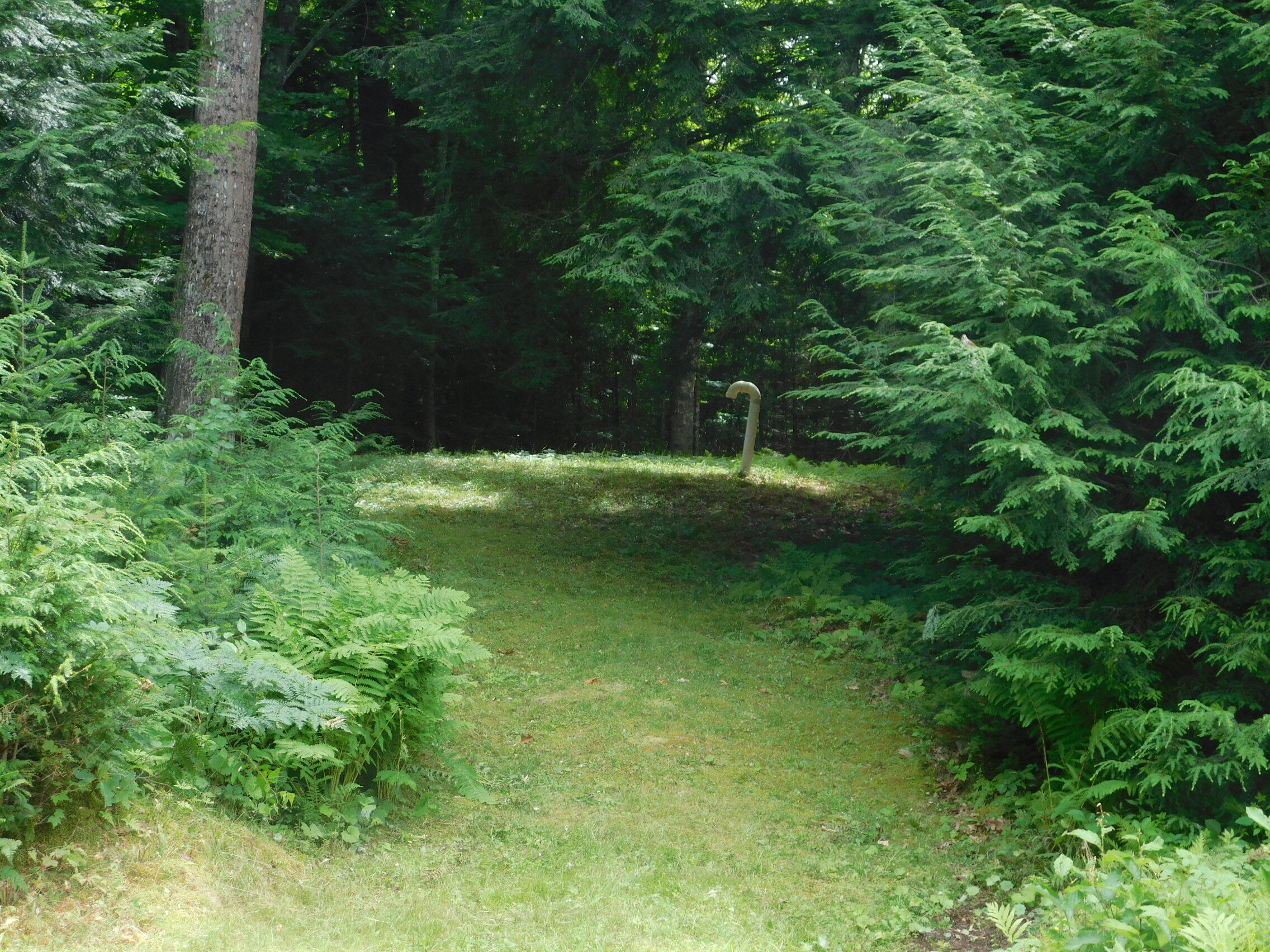 435 Canaan Road Skowhegan, ME 04976 - Photo 11 of 44 DSCN2612