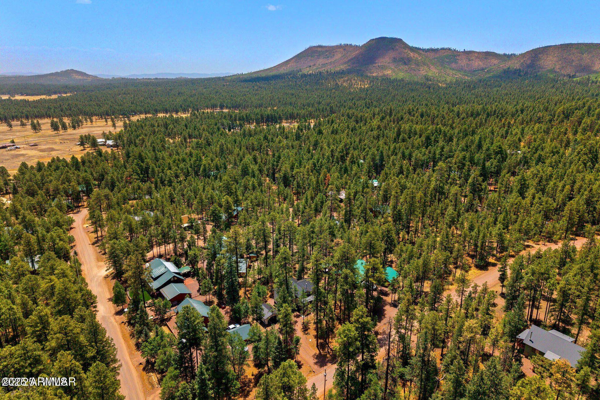 26 County Road 2067 Alpine, AZ 85920 - Photo 30 of 33 a view of a town with mountains in the background