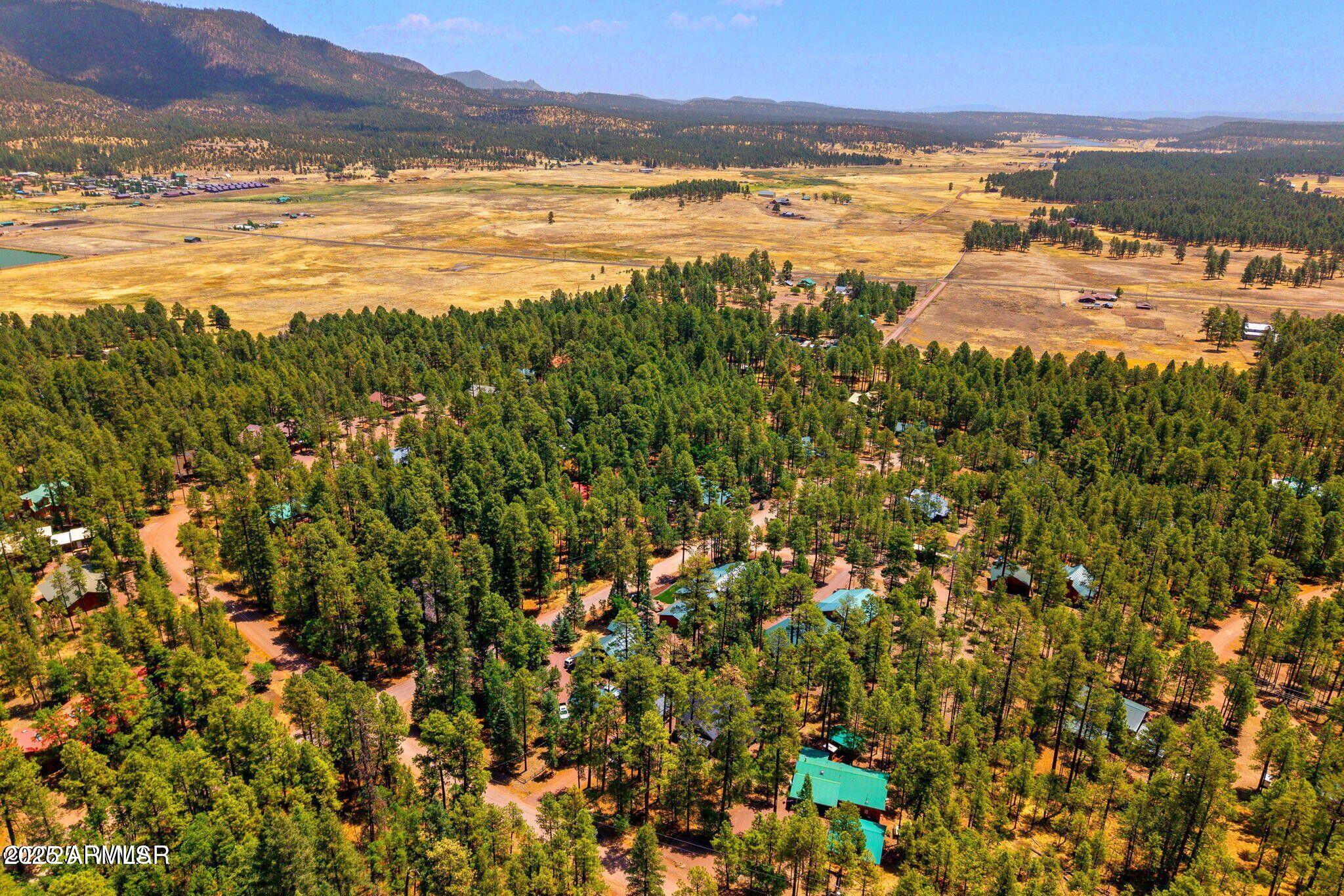 26 County Road 2067 Alpine, AZ 85920 - Photo 31 of 33 a view of an ocean and a mountain