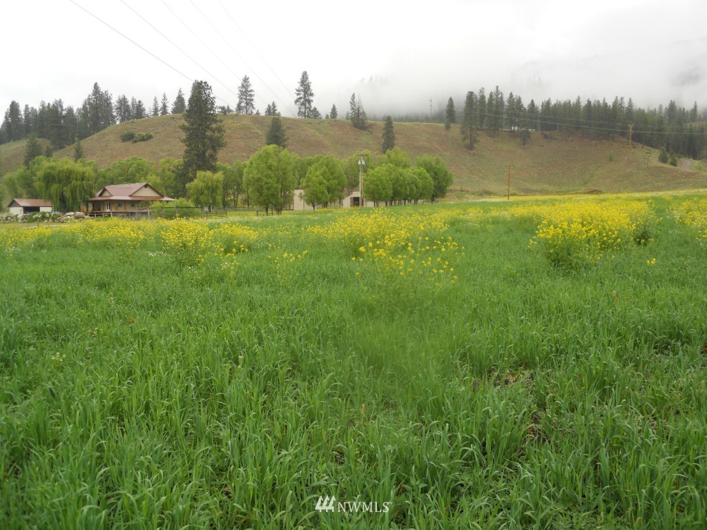 -lot A Customs Road Curlew, WA 99118 - Photo 9 of 12 Gallery Image 9