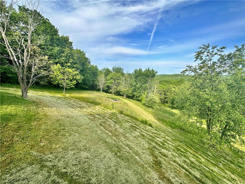 241 Countryview Road Slippery Rock, PA 16057 - Photo 21 of 24 a view of a yard with a tree