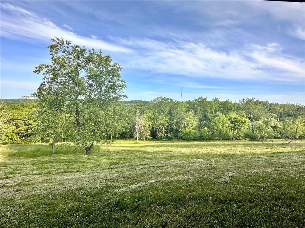 241 Countryview Road Slippery Rock, PA 16057 - Photo 24 of 24 a view of a green field with lots of bushes