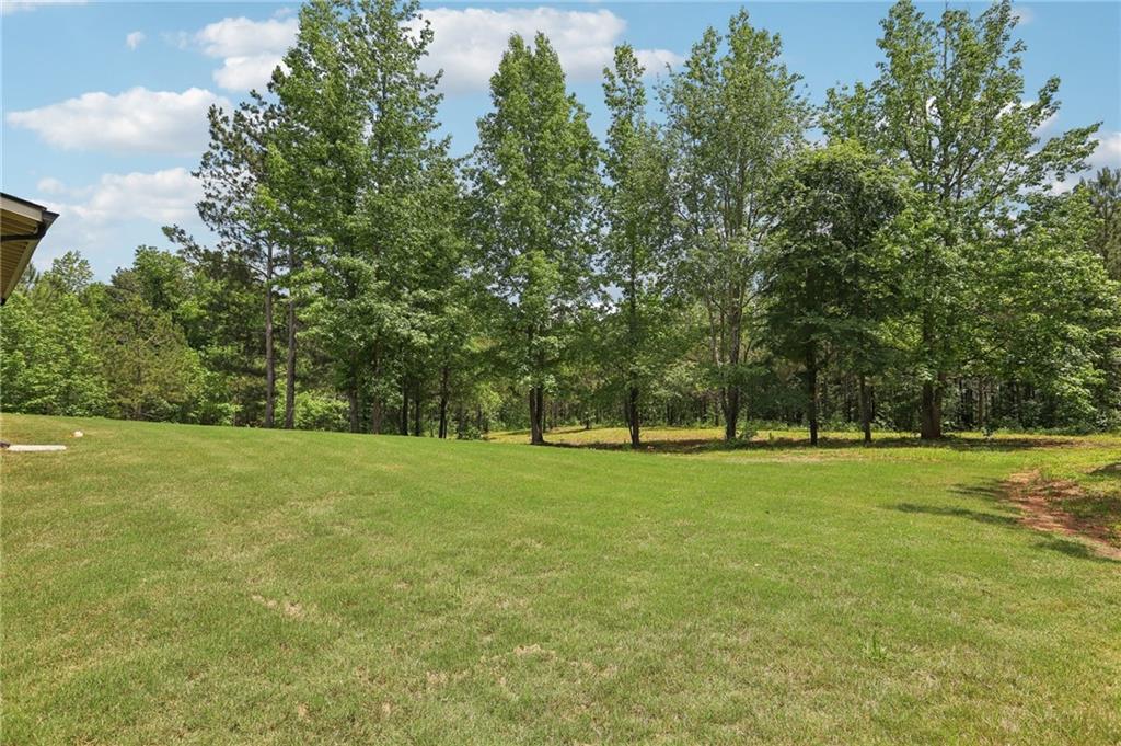 411 Johnson Road Locust Grove, GA 30248 - Photo 35 of 54 a view of outdoor space and yard
