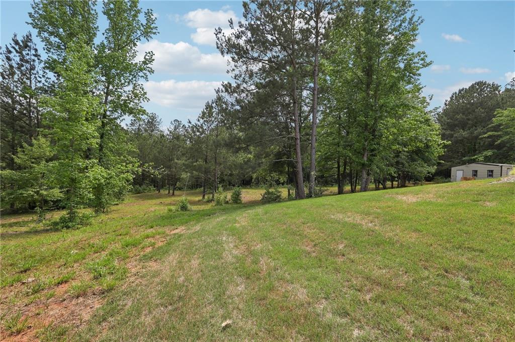 411 Johnson Road Locust Grove, GA 30248 - Photo 39 of 54 a view of field with trees in the background