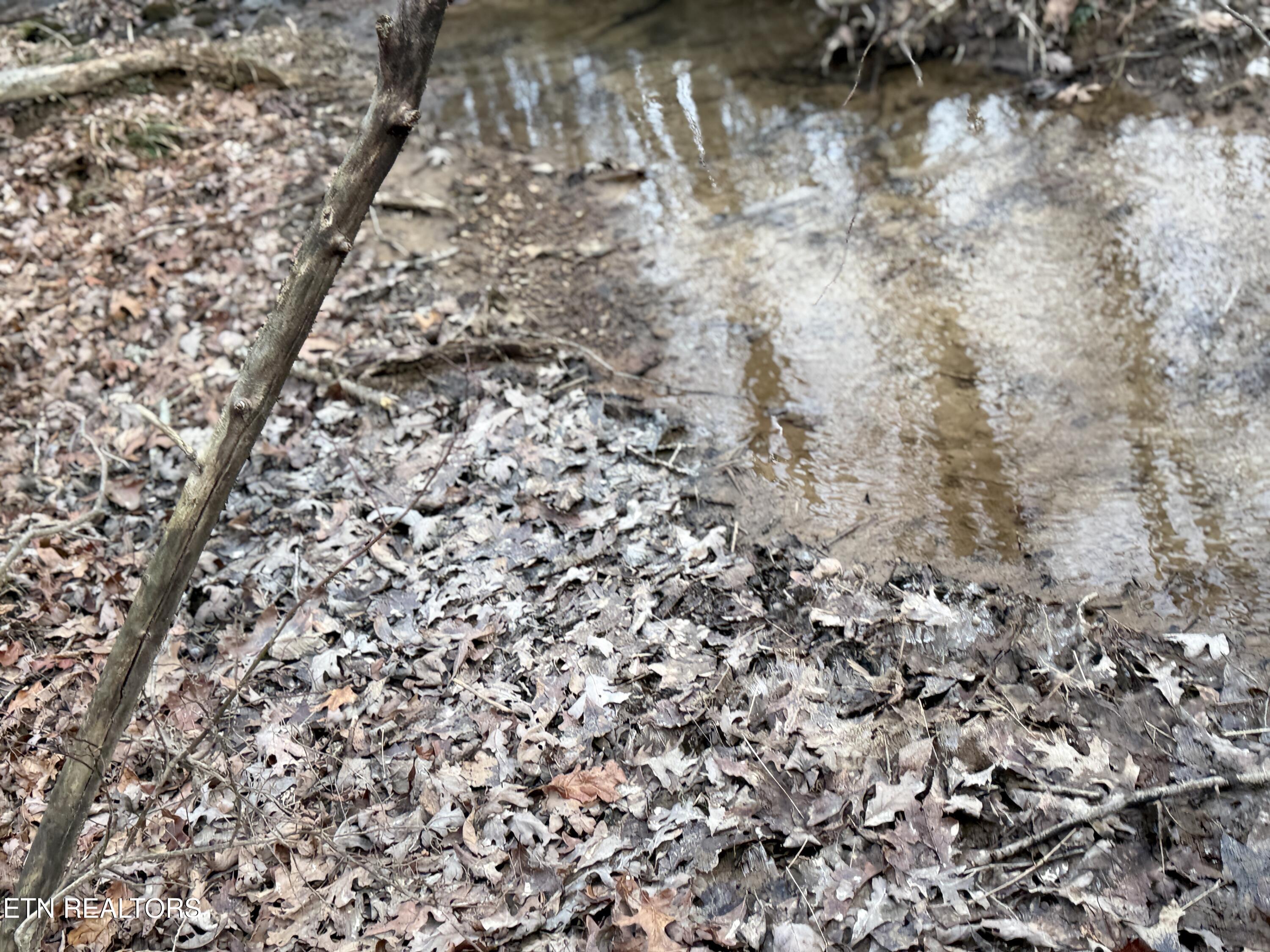 T Road Road Monterey, TN 38574 - Photo 4 of 5 IMG_3595