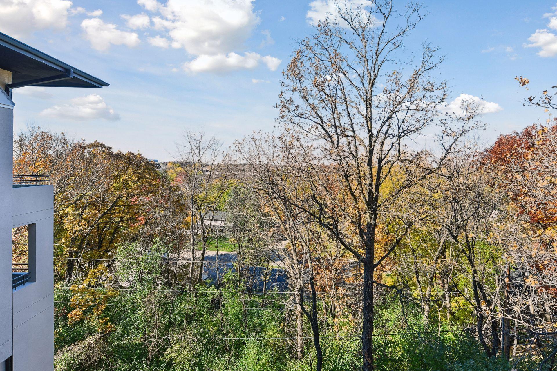 12 Overholt Pass Edina, MN 55439 - Photo 41 of 102