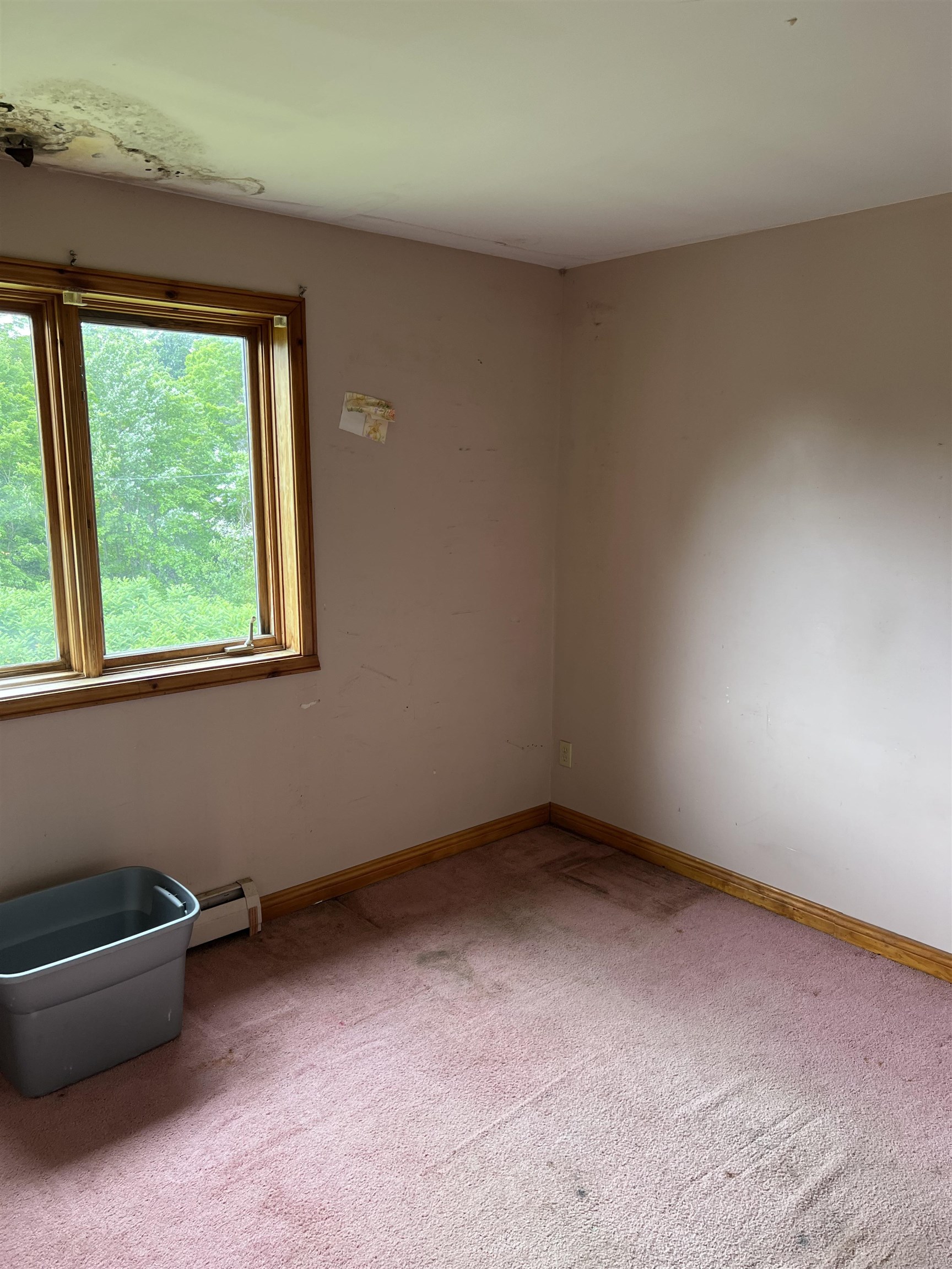 174 Hutchins Road Chesterfield, NH 03466 - Photo 6 of 17