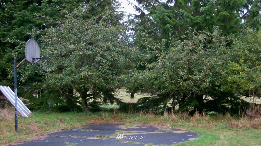 1011-53 Peters Road Randle, WA 98377 - Photo 2 of 14 Gallery Image 2