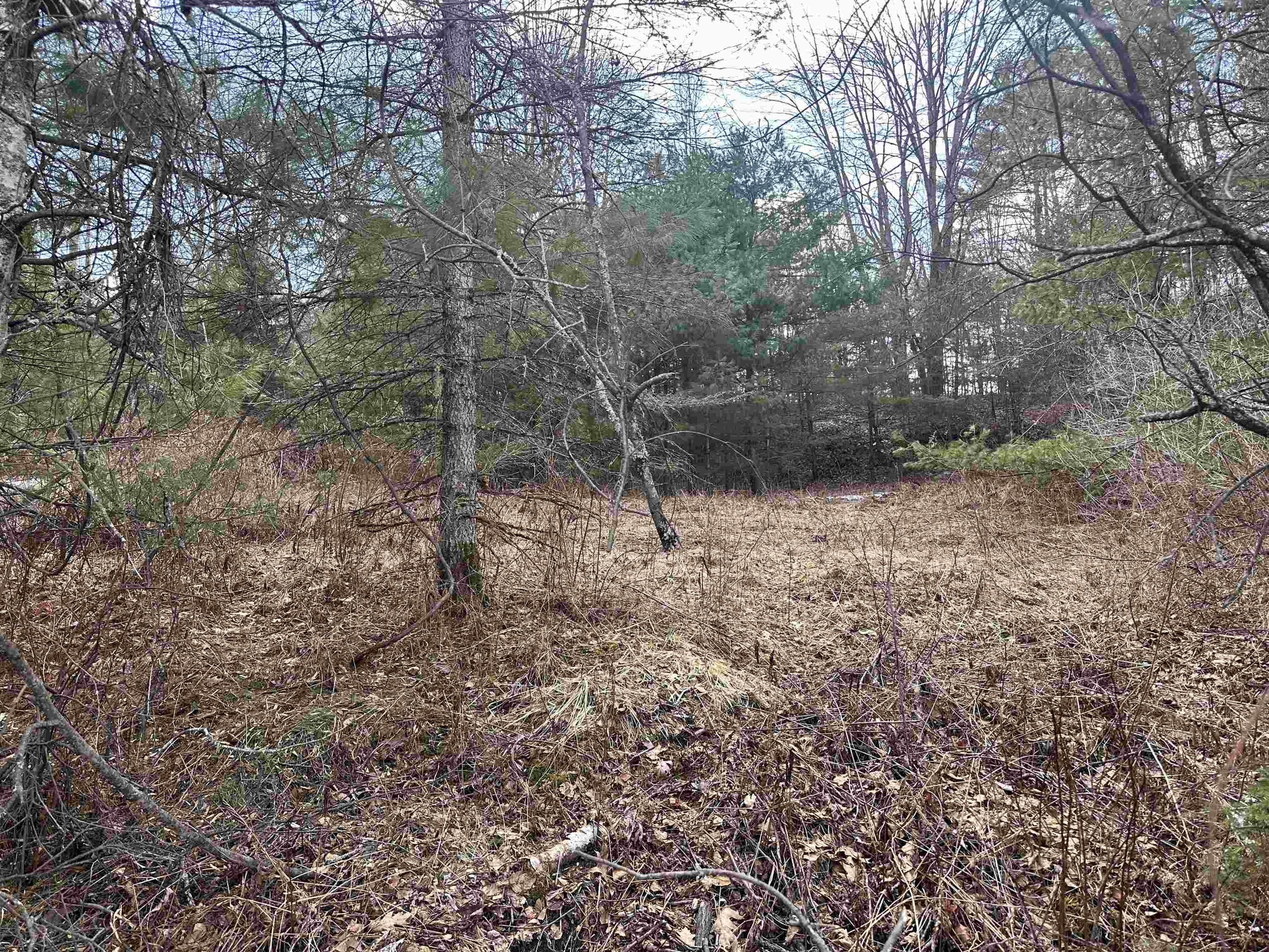 70 Hodge Hill Road Lisbon, NH 03585 - Photo 18 of 19