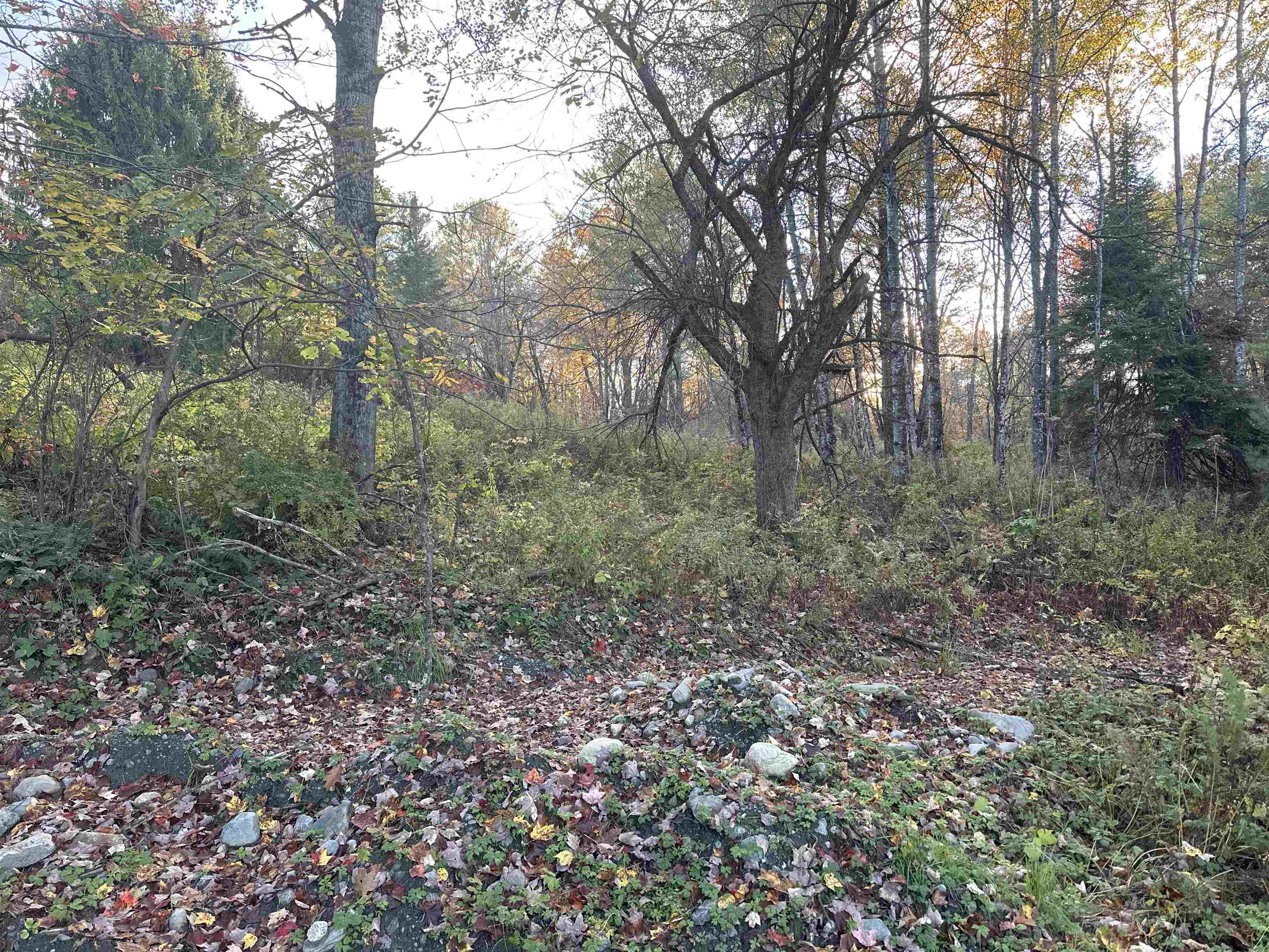 70 Hodge Hill Road Lisbon, NH 03585 - Photo 2 of 19