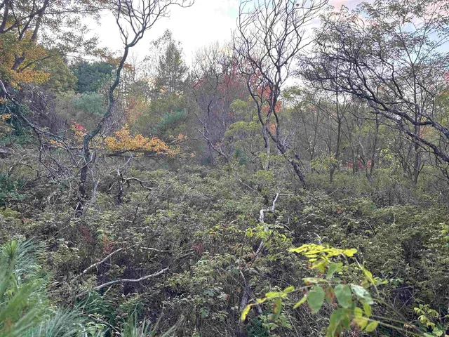 $88,500 | 70 Hodge Hill Road, Lisbon, NH 03585