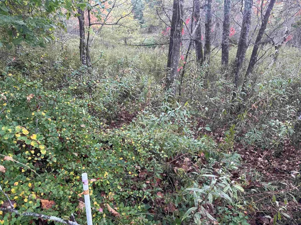 $88,500 | 70 Hodge Hill Road, Lisbon, NH 03585