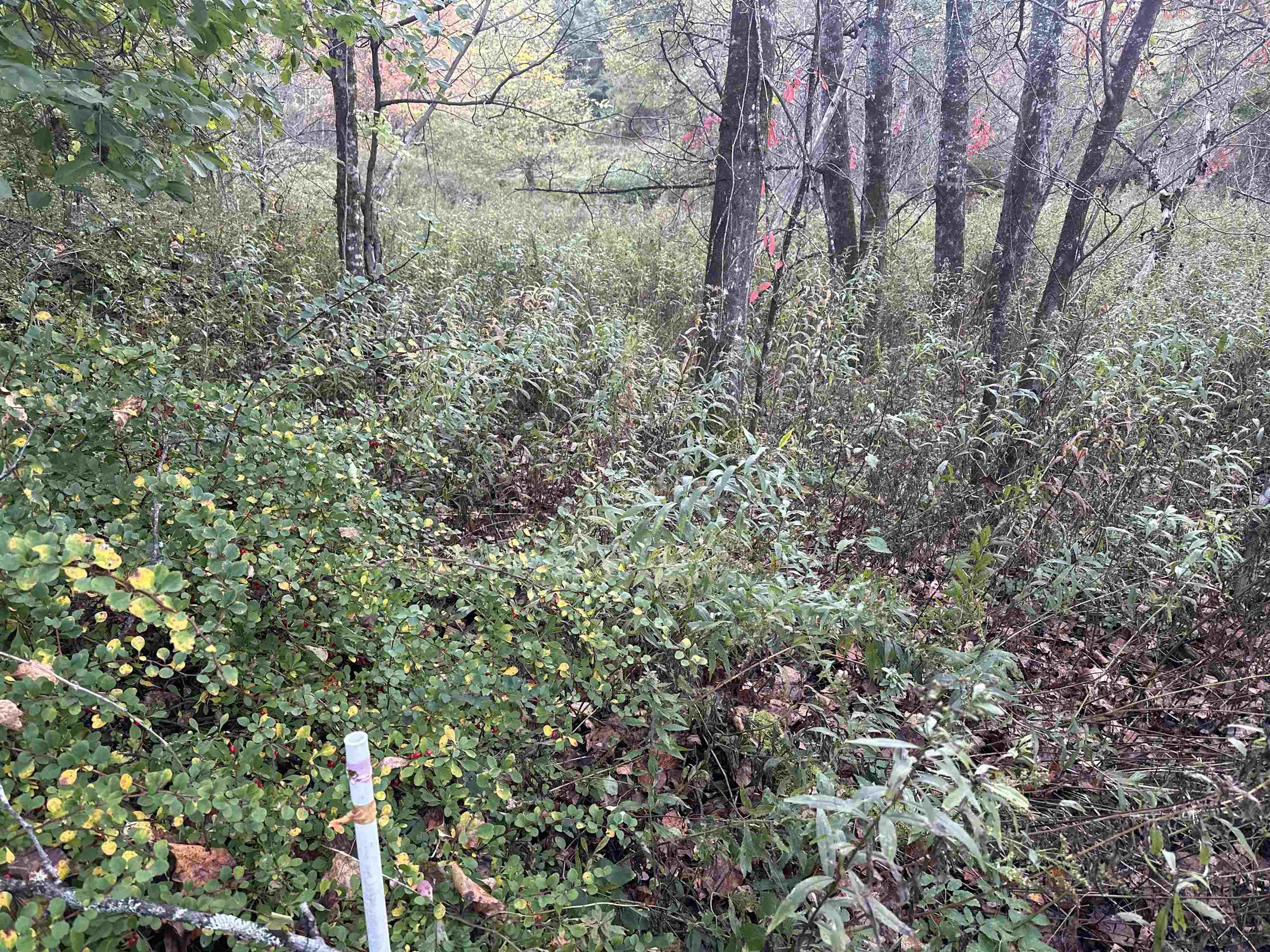 70 Hodge Hill Road Lisbon, NH 03585 - Photo 7 of 19