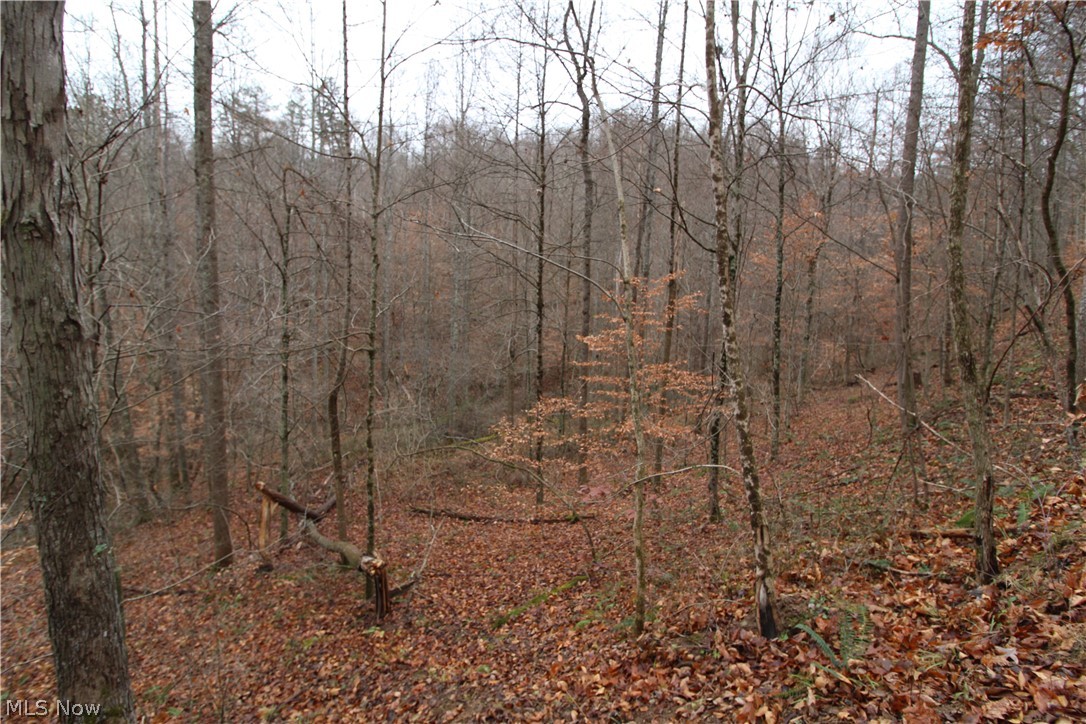 Wilson Run Road New Matamoras, OH 45767 - Photo 10 of 34 Gallery Image 10
