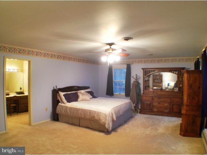 960 Camelot Road Furlong, PA 18925 - Photo 10 of 24 Master Bedroom