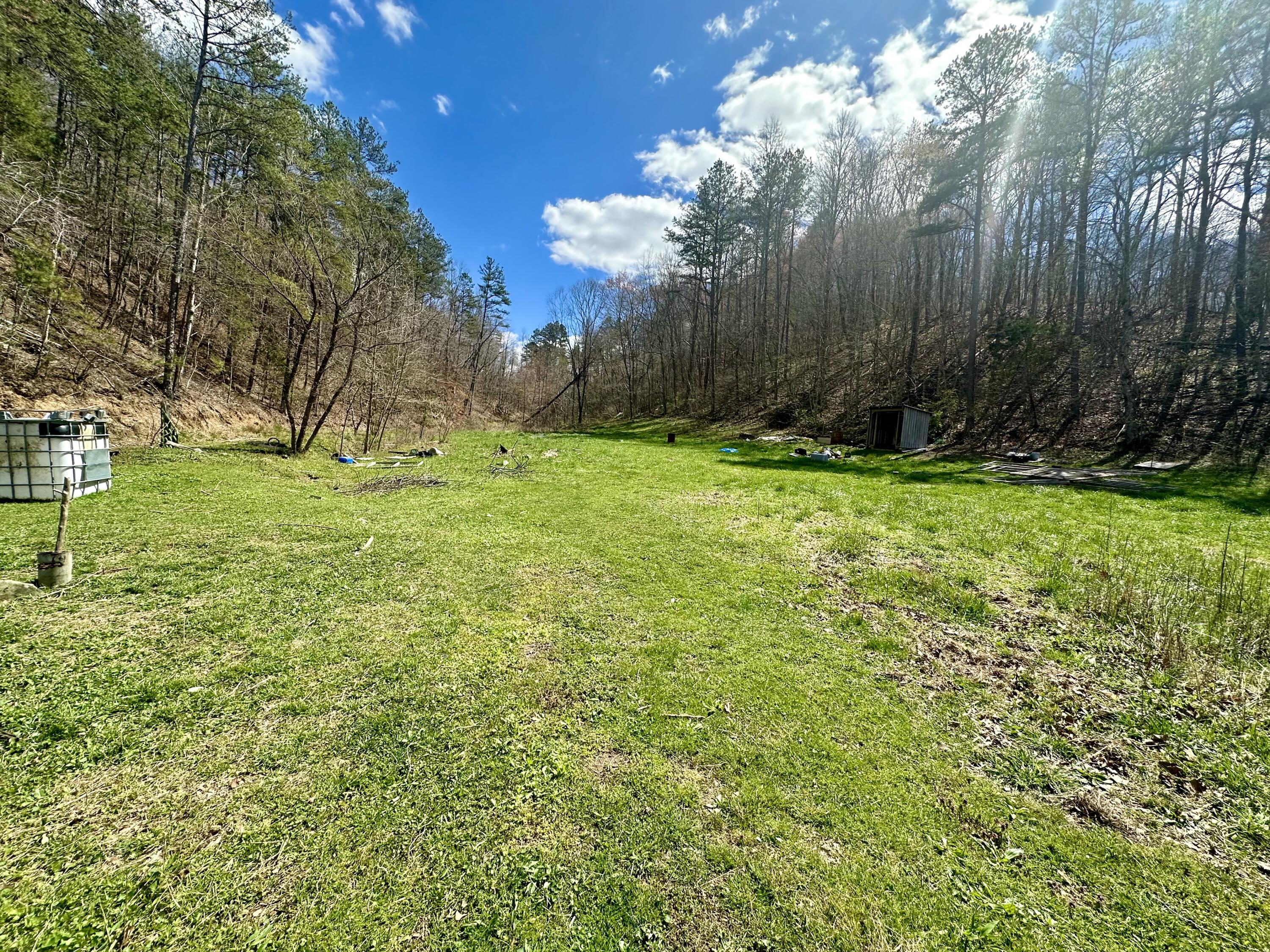 Tract #1 Tract Ridge Annville, KY 40402 - Photo 7 of 16 IMG_0909