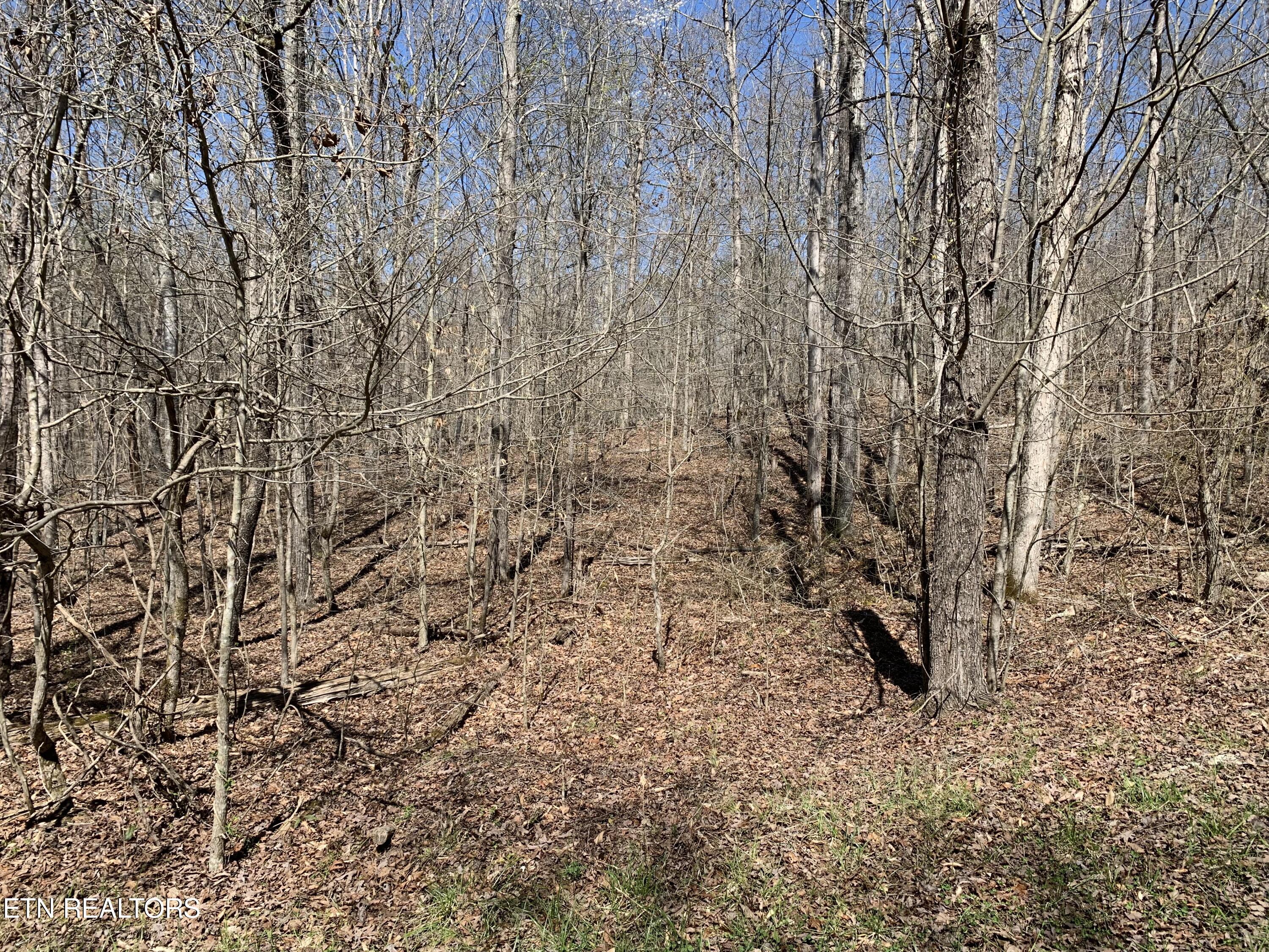 Private and wooded