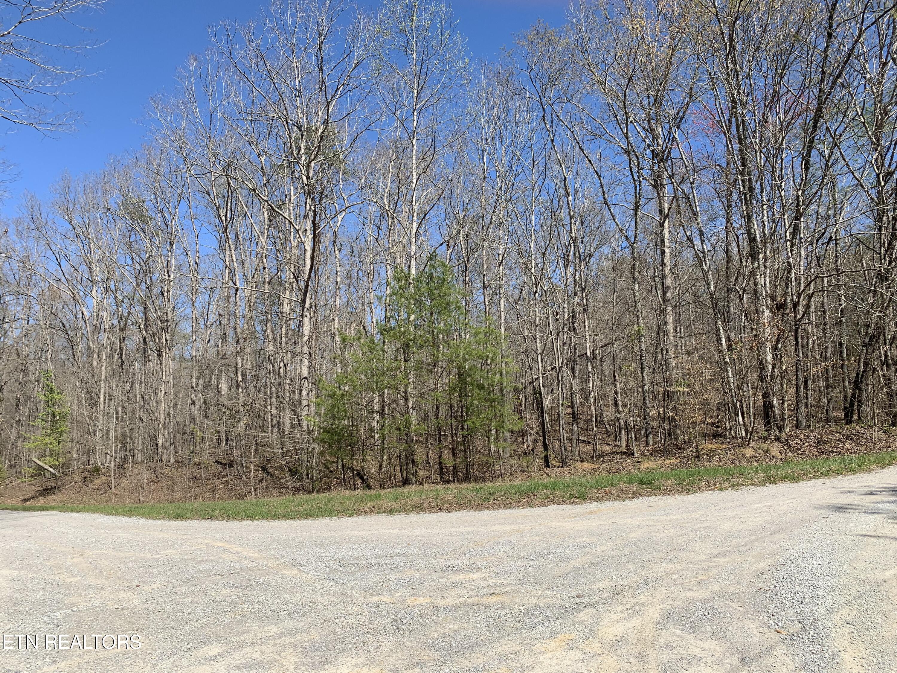 Corner of Old Ridge Rd and Saw Mill Rd