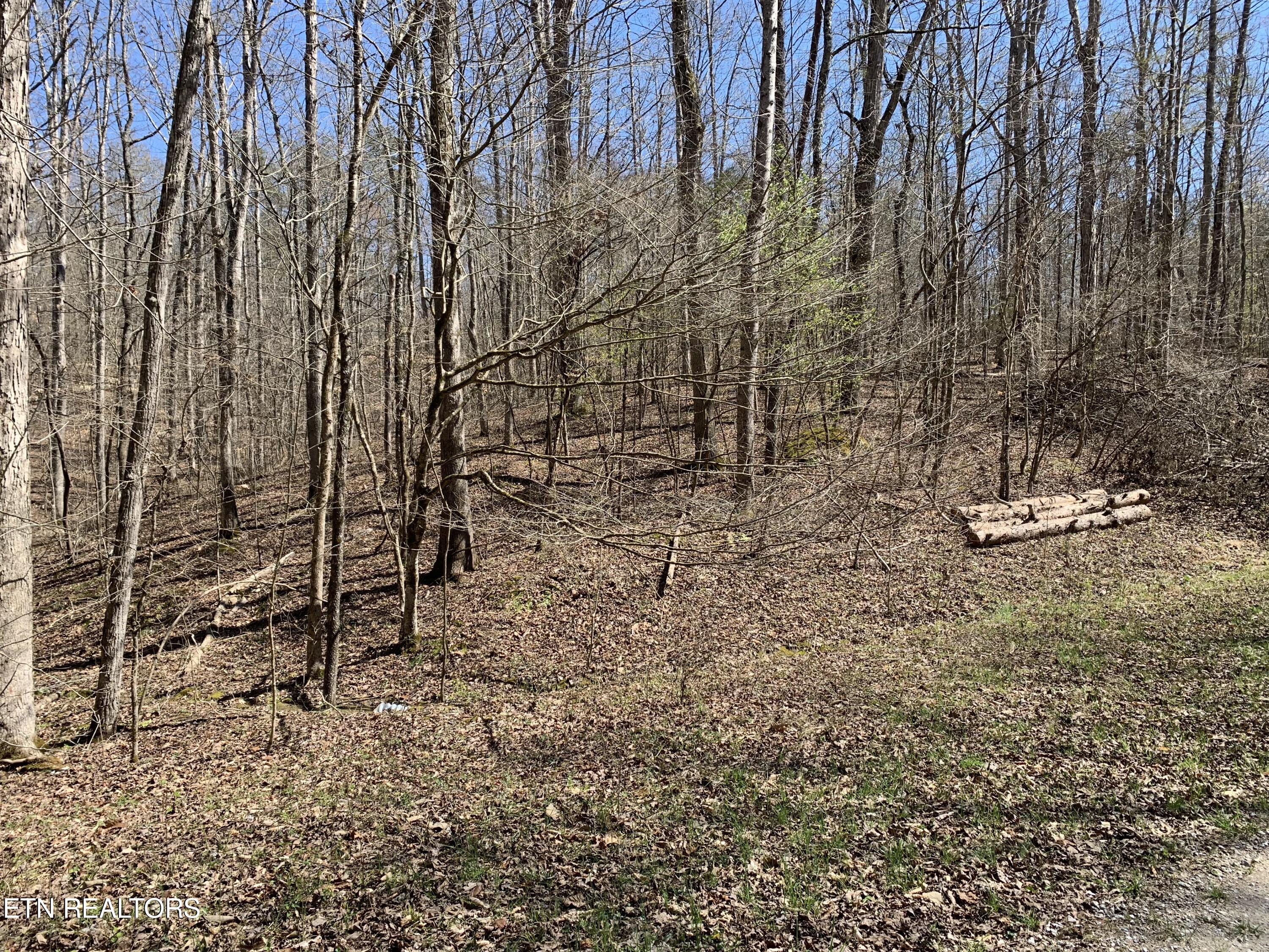 Some areas rolling topography