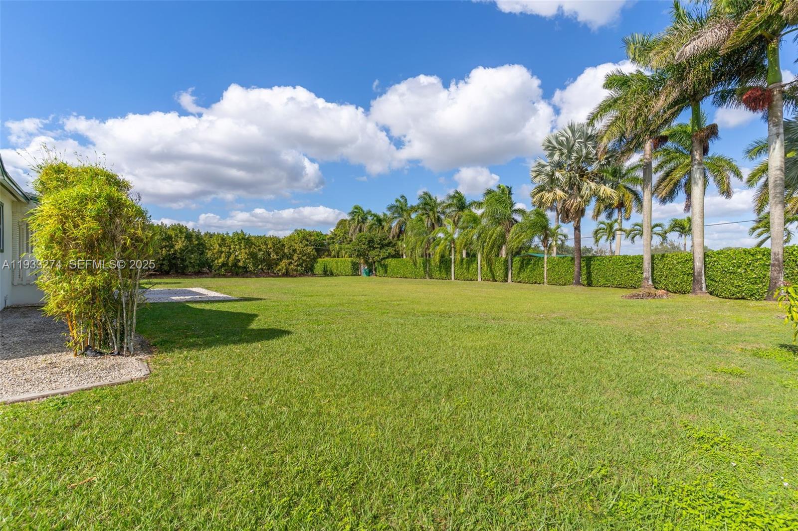 18900 Southwest 224th Street Miami, FL 33170 - Photo 6 of 23 a view of a garden