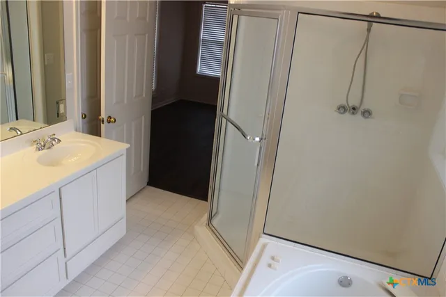 a bathroom with a sink a mirror and a shower