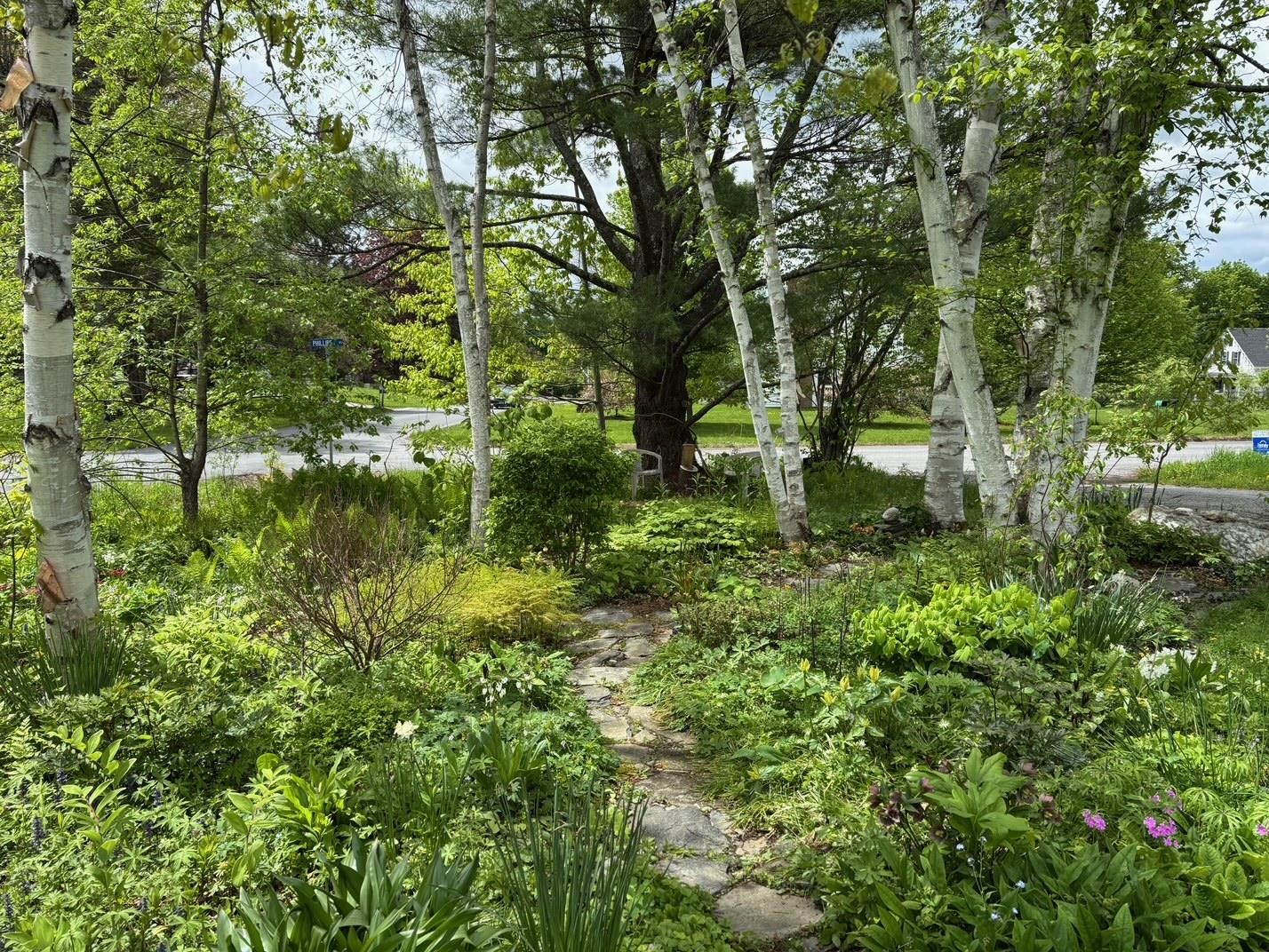 19 Phillips Road Montpelier, VT 05602 - Photo 38 of 38 Gallery Image 38