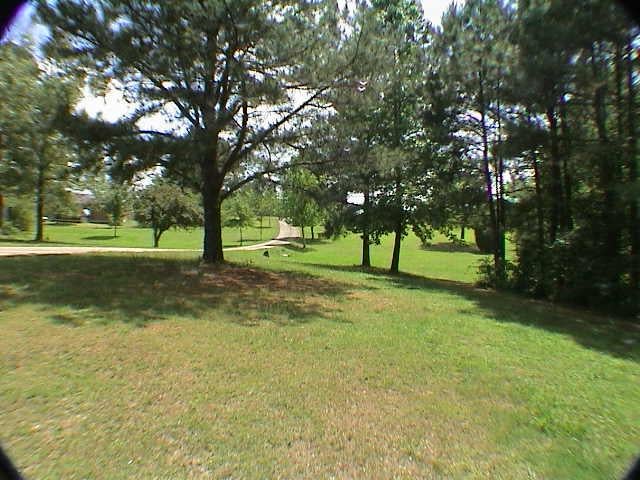 432 Radiant City Road Nauvoo, AL 35578 - Photo 9 of 15 Gallery Image 9