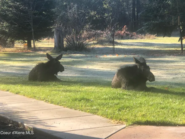 $879,000 | 4529 East Diagonal Road, Rathdrum, ID 83858