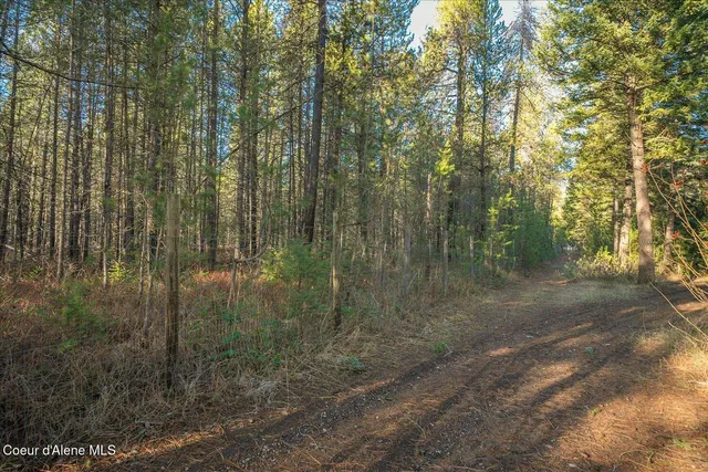 $899,000 | 4529 East Diagonal Road, Rathdrum, ID 83858