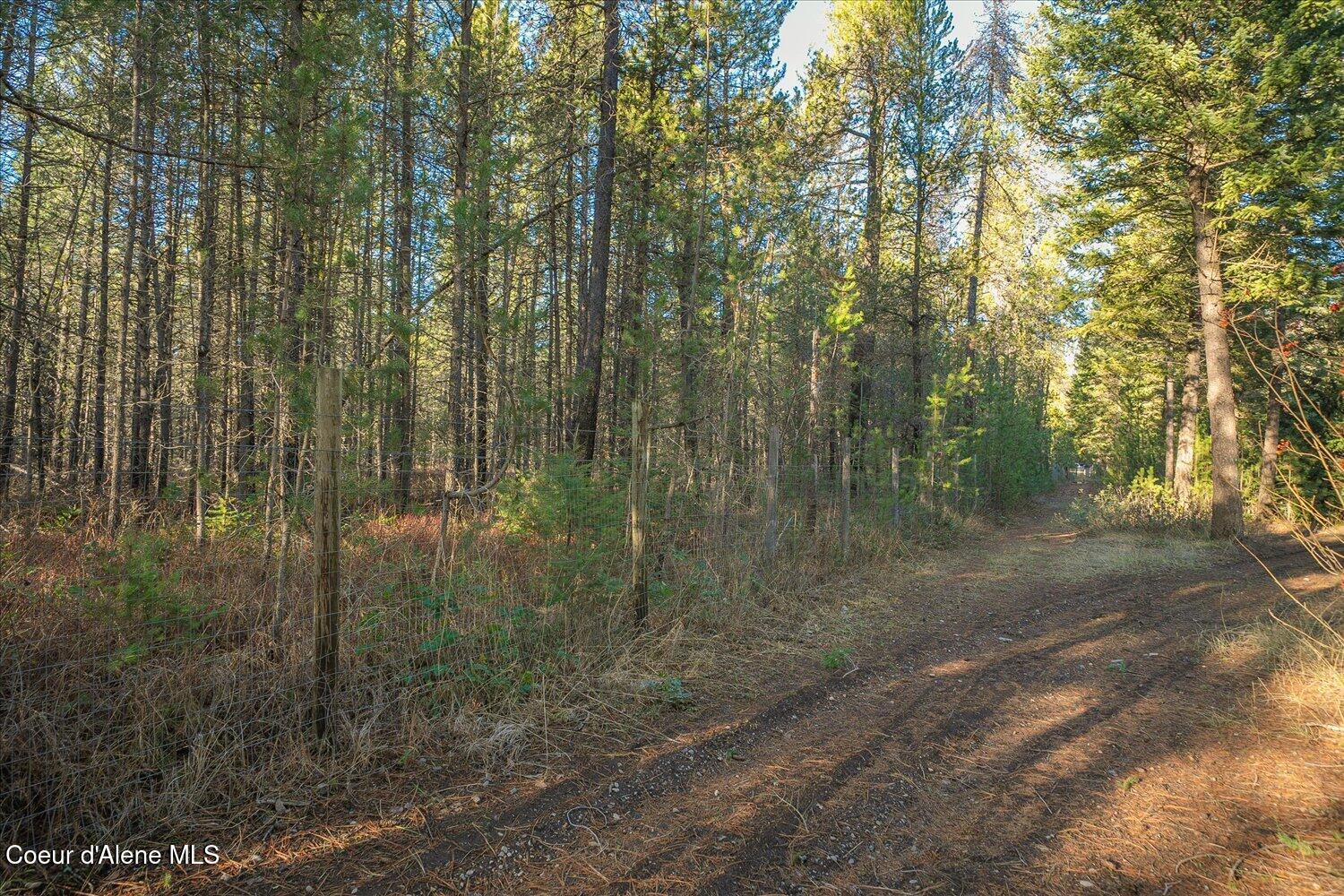 4529 East Diagonal Road Rathdrum, ID 83858 - Photo 33 of 52 53-4529 E Diagonal Rd-053