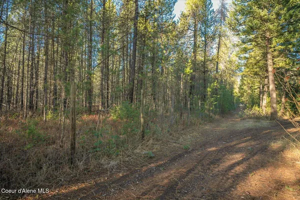 $879,000 | 4529 East Diagonal Road, Rathdrum, ID 83858