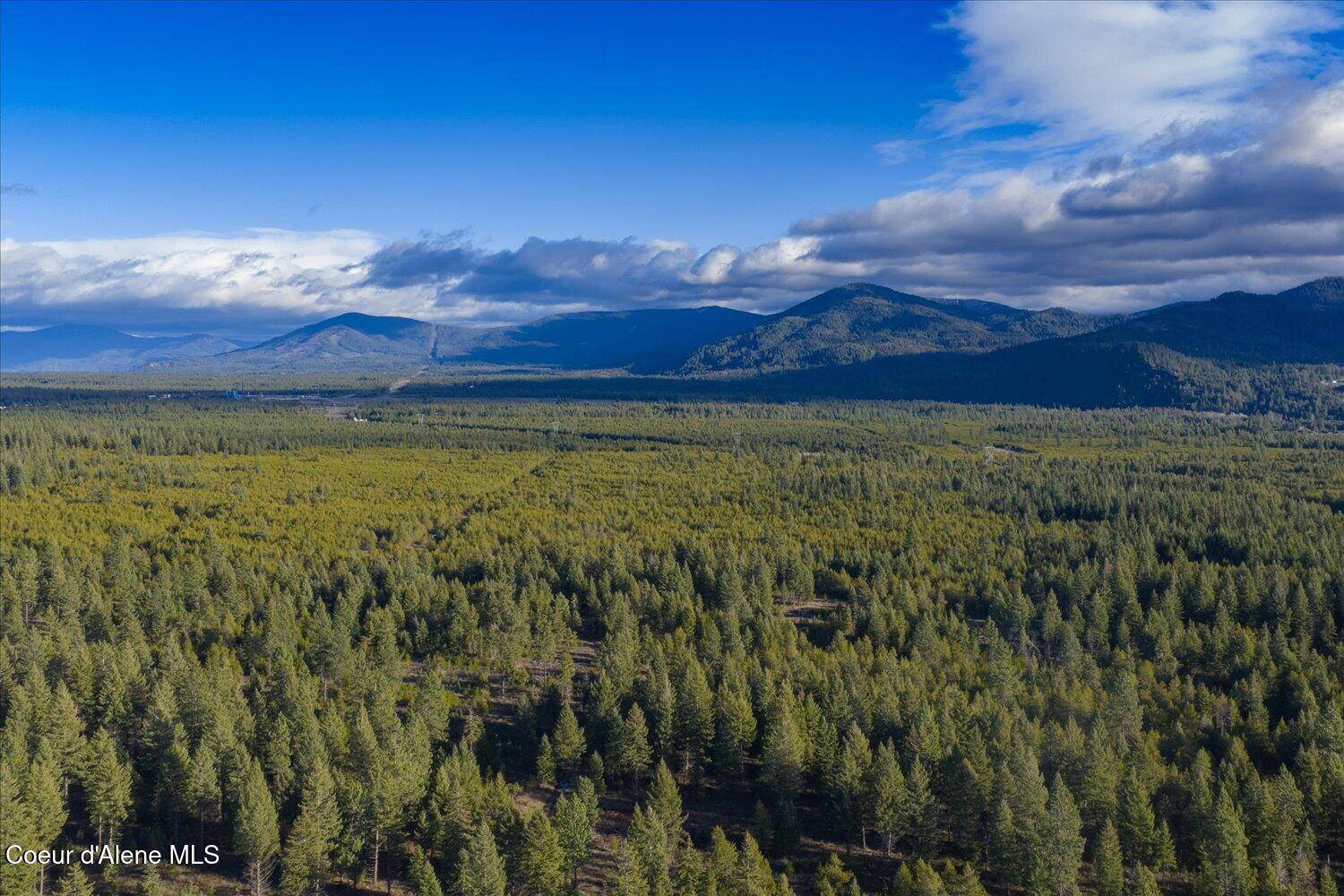 4529 East Diagonal Road Rathdrum, ID 83858 - Photo 50 of 52 79-4529 E Diagonal Rd-077