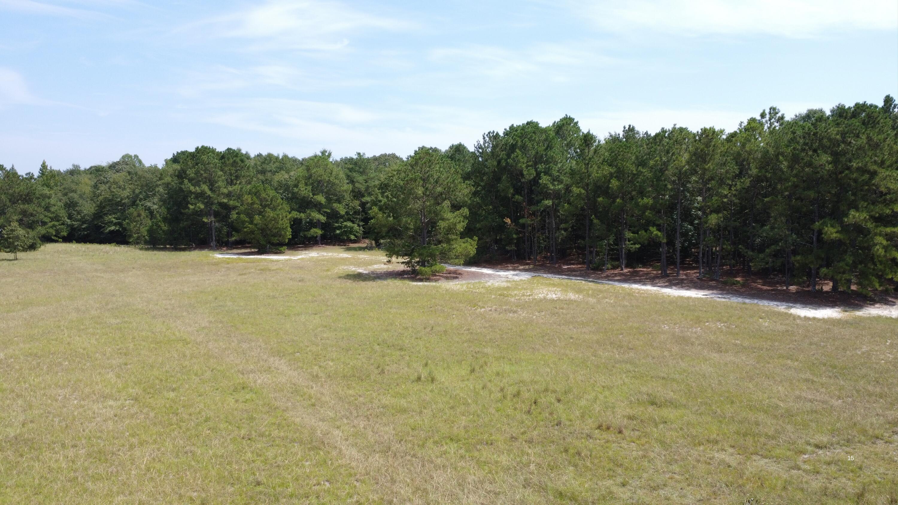 0 Warner Road Salley, SC 29137 - Photo 15 of 19 Gallery Image 15