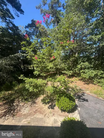 a view of a garden with flowers