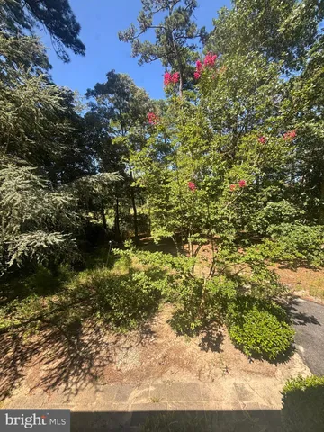 a view of a yard with plants