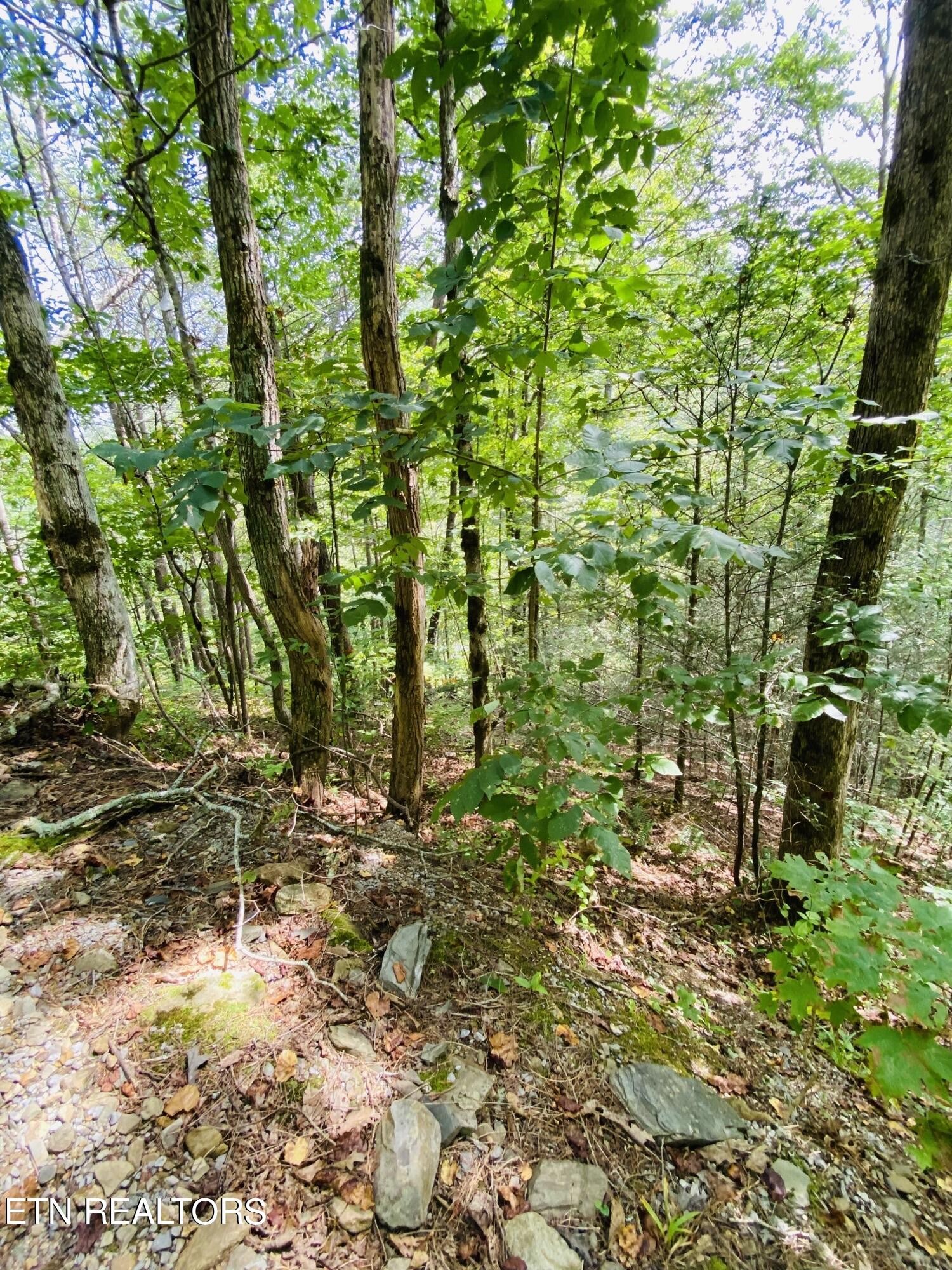 18 Meadow View Road Sevierville, TN 37862 - Photo 4 of 7 Gallery Image 4